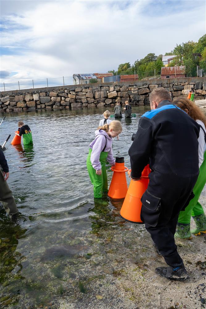 barn - Klikk for stort bilde