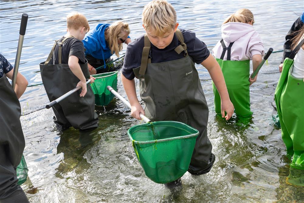 barn - Klikk for stort bilde