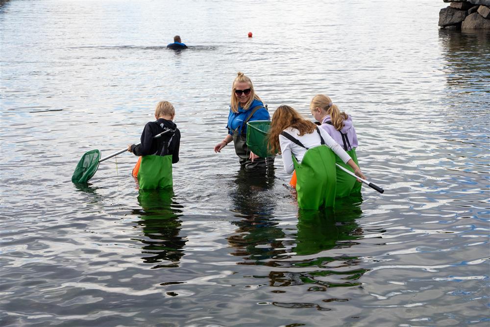 barn - Klikk for stort bilde